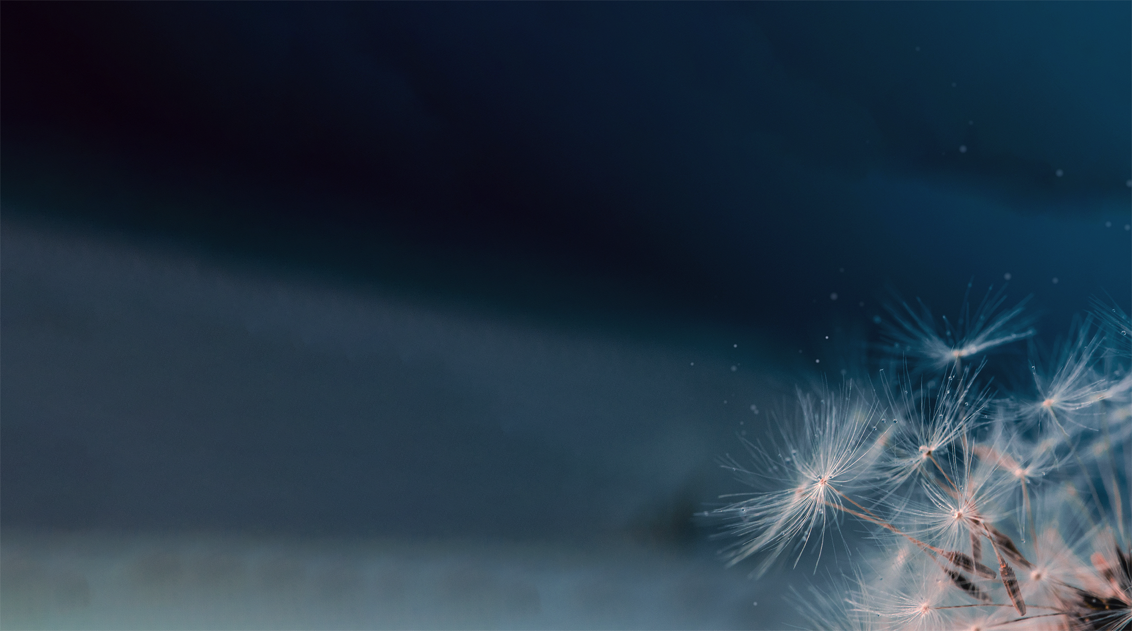 Environmental acoustics, our 30-year journey, innovative and integrated approach, digital technologies for improving the 
							management of sound and vibrations, acoustic simulations in virtual environments, advanced software and digital systems, noise, vibrations.